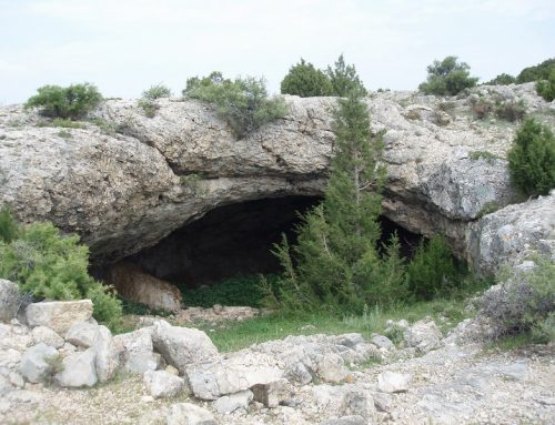 Cueva Rocín